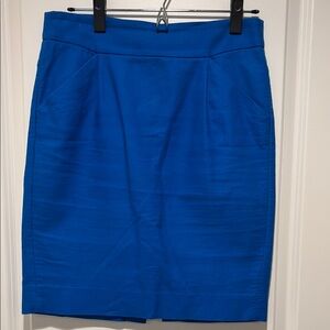 Elegant Blue Women's Skirt